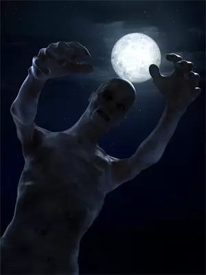 搜索末世求生