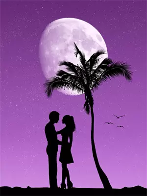 夜幕下的上海滩小说
